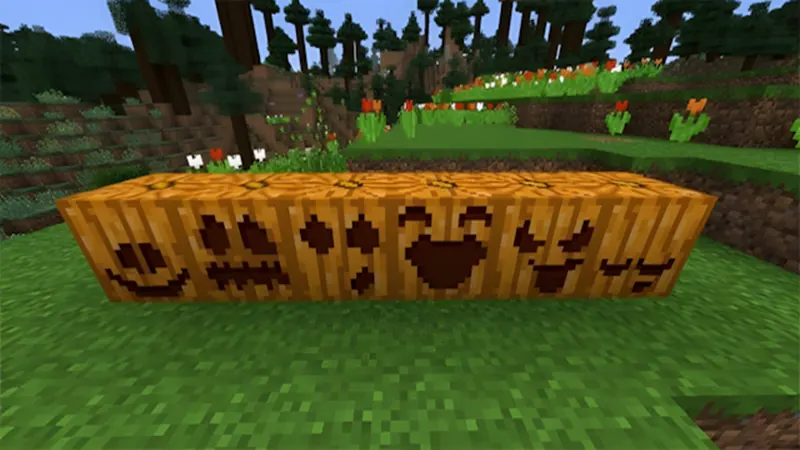 Cách trồng bí ngô trong Minecraft