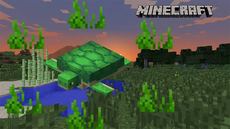Rùa Trong Minecraft Ăn Gì