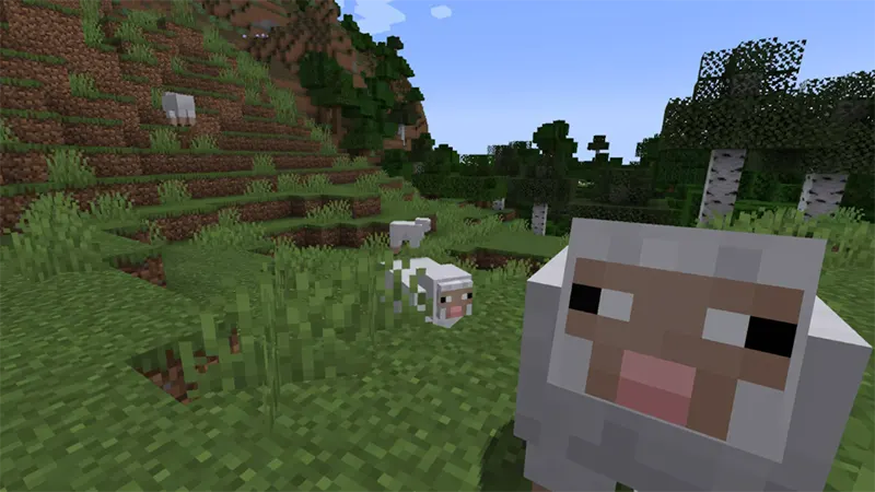 Cừu Trong Minecraft Ăn Gì