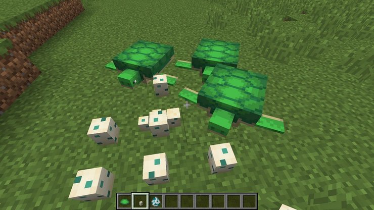 Hướng dẫn cách sử dụng và nhân giống rùa trong Minecraft 2023