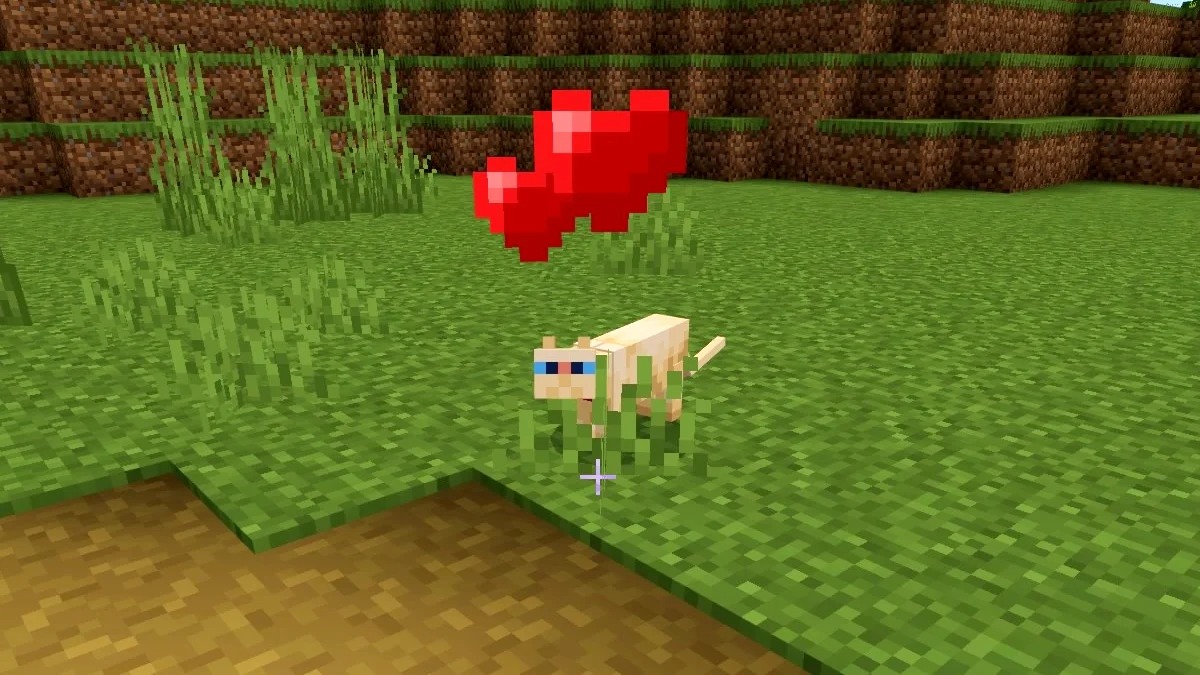 Cách bắt và thuần phục mèo trong game Minecraft