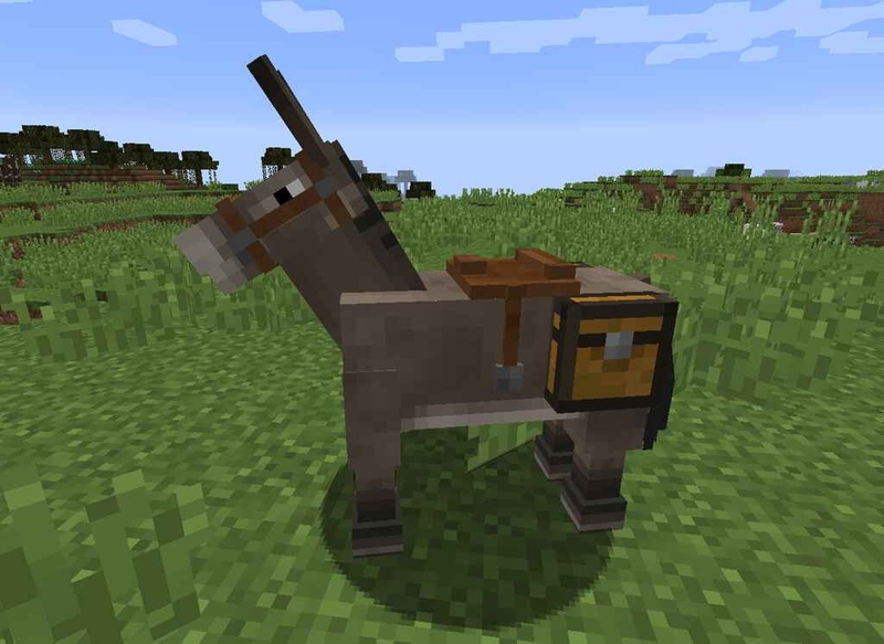 Toàn tập về cách cưỡi ngựa trong Minecraft để làm chủ thảo nguyên