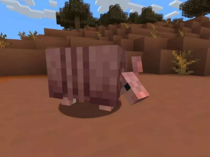 Các con vật minecraft - Vì sao động vật quan trọng trong chế độ sinh tồn? Các con vật minecraft - Vì sao động vật quan trọng trong chế độ sinh tồn?