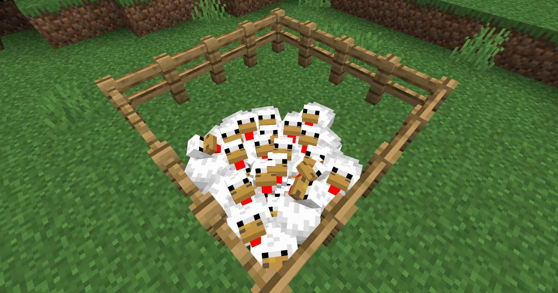 Gà Trong Minecraft