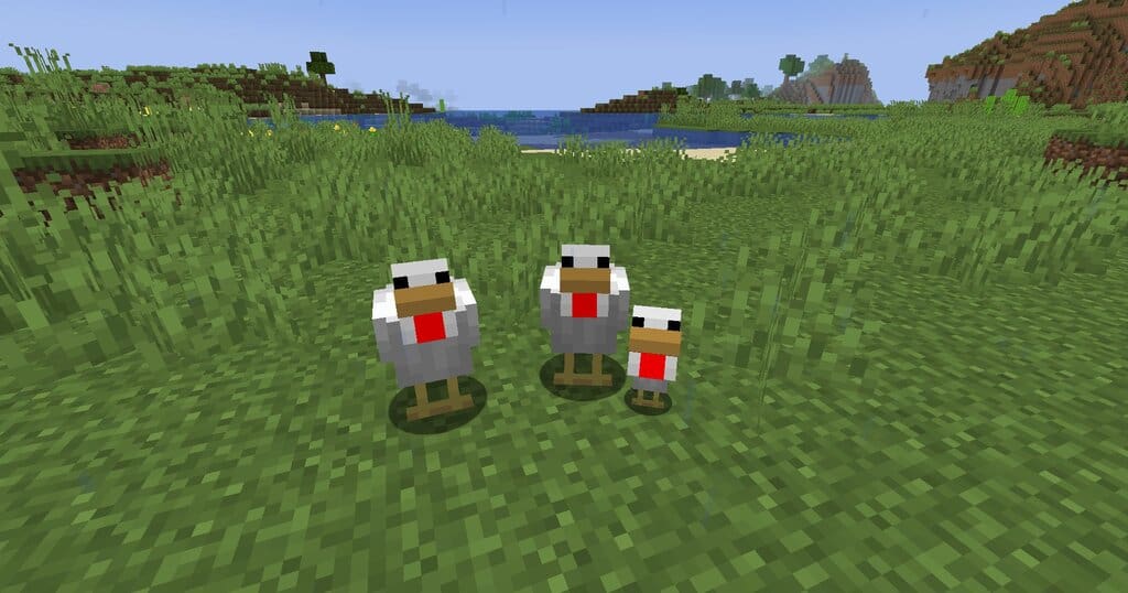 Gà Trong Minecraft