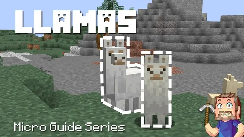 Minecraft pe 1.20.51 - Tổng quan thông tin Minecraft pe 1.20.51