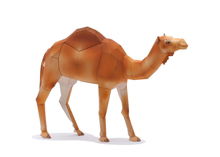 Mô hình giấy Lạc đà - Kit168 - Shop Đồ Chơi Mô Hình Giấy Papercraft Toy