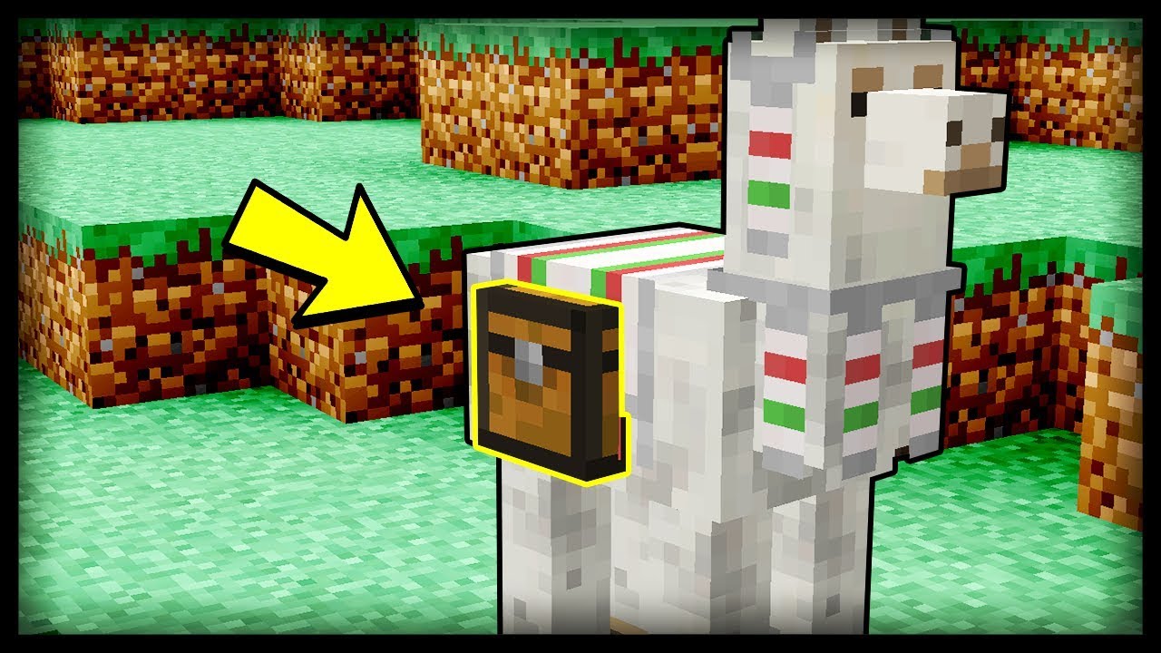 Cách sử dụng lạc đà không bướu trong minecraft