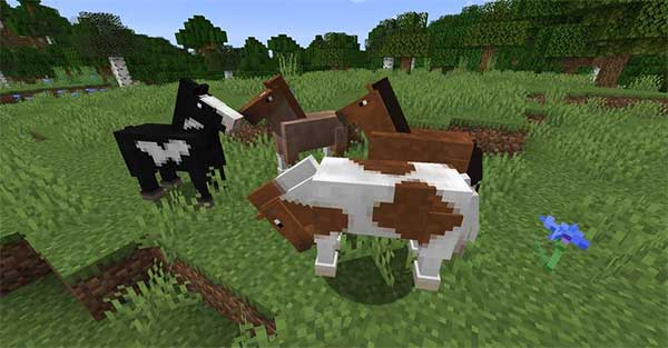 Cách nuôi Ngựa trong Minecraft - GameVui.vn