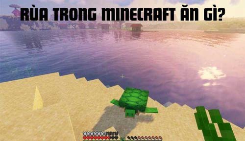 Lý giải rùa trong Minecraft ăn gì và cách nuôi rùa hiệu quả