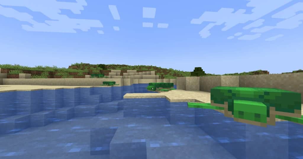 Rùa Trong Minecraft